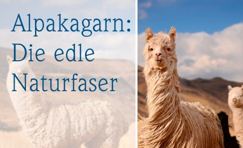 Alpakagarn | Avena Alpakagarn | Avena
