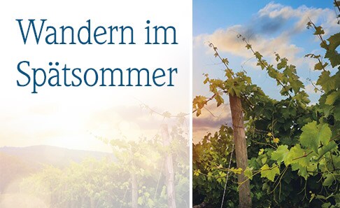 Wandern im Spätsommer | Avena Wandern im Spätsommer | Avena